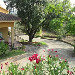 Coldulivo , Capoterra Italia